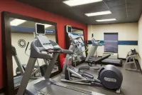 Hampton Inn Pell City - Gym