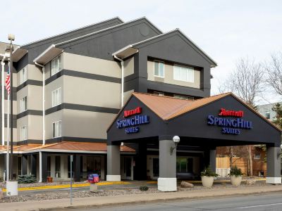 SpringHill Suites Rochester Mayo Clinic Area/Saint Marys