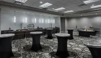 底特律市中心希爾頓逸林套房飯店-福特謝爾比 - Wi-Fi