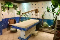 HIC 住宅管理 - SPA
