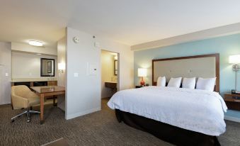 Hampton Inn & Suites Austin-Airport