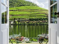 The Vintage House - Douro - Dağ Manzaralı