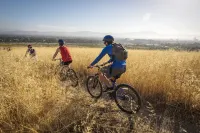 Staybridge Suites Irvine - John Wayne Airport Hotels in Orange County
