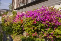 Eumseong Black and White