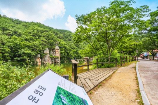 물존펜션 인근 계곡