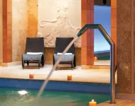迪瓦尼拉里薩宮殿酒店 - SPA