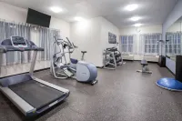 Wingate by Wyndham Roseville/Detroit - gimnasio