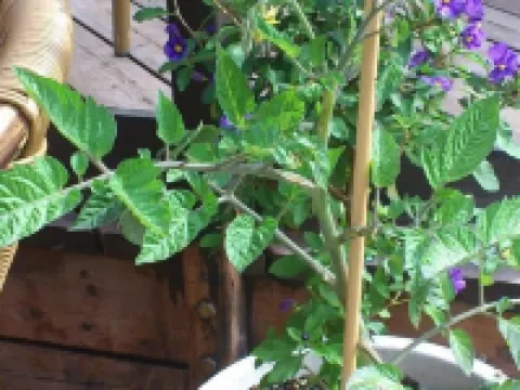 Hotel Postgaarden Hotels in Ribe