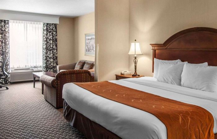 Comfort Suites