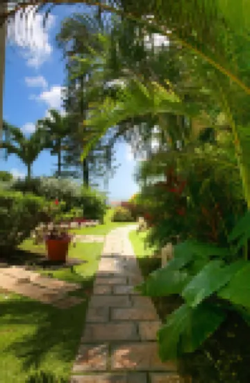 Blue Orchids Beach Hotel