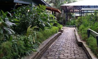 a stone pathway is surrounded by lush greenery and a building with a green roof at Rainforest Eco Lodge
