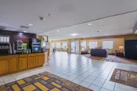 Quality Inn & Suites Belmont Route 151 - bar