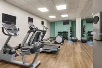 Holiday Inn Express & Suites GREENVILLE-DOWNTOWN by IHG - Gym
