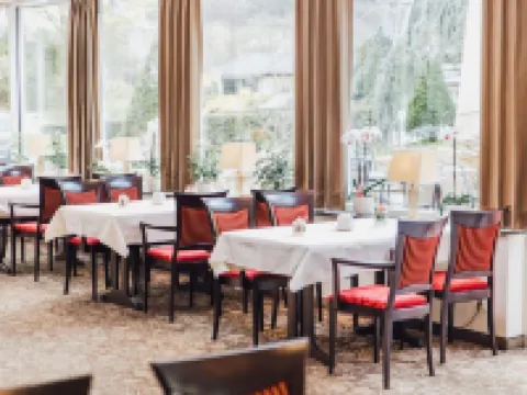 Ringhotel Teutoburger Wald Hotels in Tecklenburg