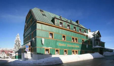 Hotel Zelený Dům Отели в г. Лоучна под Клиновцем