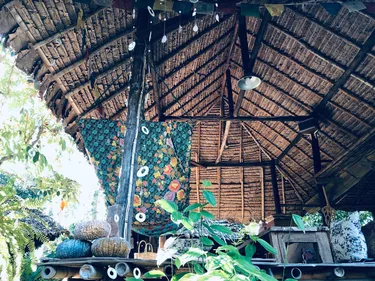 รูปภาพของคุณนายตื่นสาย