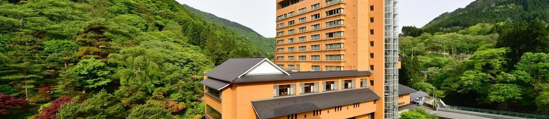 Hot Spring Hotels