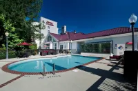 Hampton Inn & Suites Raleigh Cary Lenovo Center - Pool
