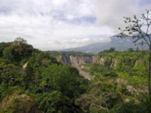 Mutiara Guest House Syariah Hoteles en Agam