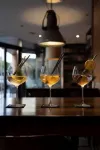 斯里斯克飯店 - 酒吧