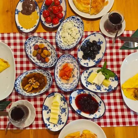 Swiss Eviniz Hotel