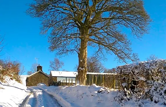 潘特格拉斯穀倉酒店