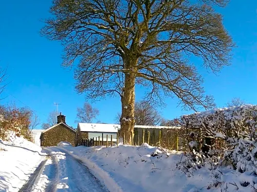 Pant Glas Barn