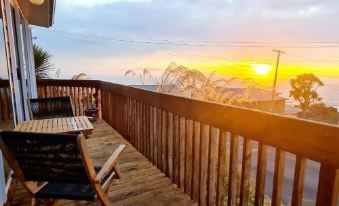 Kaka Point Spa Accommodation - Catlins