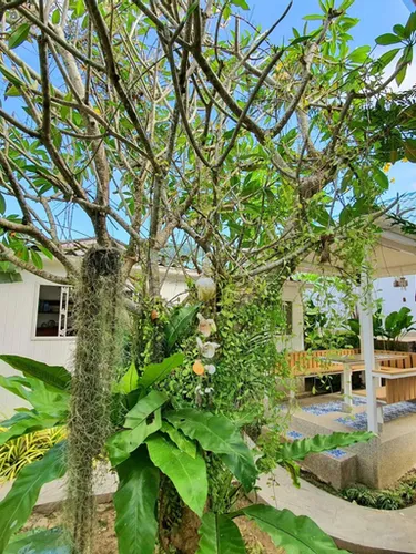 รูปภาพของมัชฌิมา เฮาส์