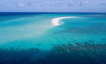 aerial view of a white sandy beach on a beautiful blue ocean , surrounded by clear blue water at Fushifaru Maldives