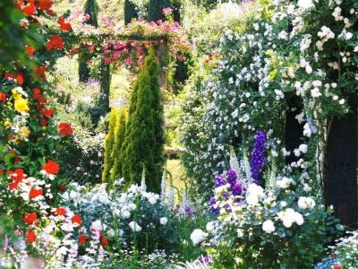 庭 ホテルリゾーピア熱海の写真