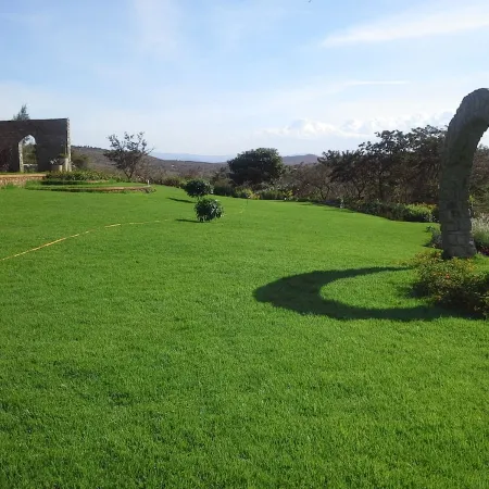 Acacia Farm Lodge