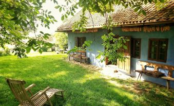 Count Kalnoky's Transylvanian Guesthouse