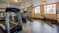 Best Western of Olds Hotels in Olds