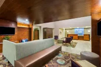 Holiday Inn Express 帕勒斯坦