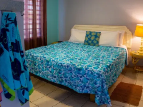 Villa Ada - Oceanfront - 6 guests - pet friendly - at Stella, Rincón Hoteles en Rincón