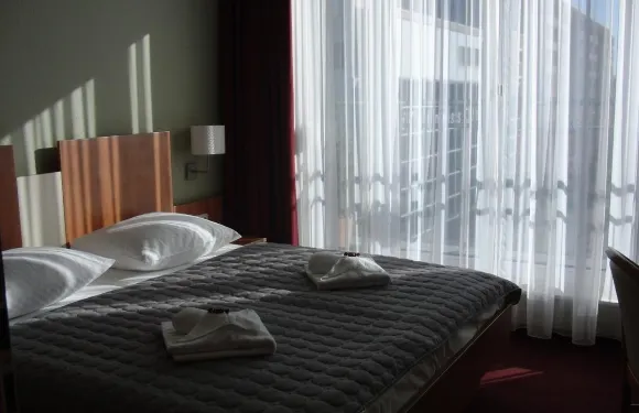 大使酒店-路德維希斯菲爾德