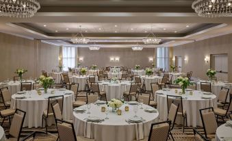 a large , well - decorated banquet hall with multiple round tables and chairs set up for a formal event at Delta Hotels Chicago Willowbrook