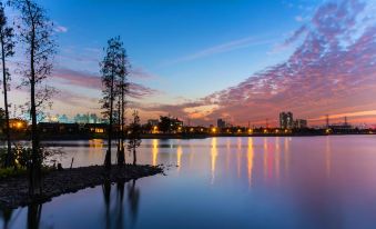 2. 파코 비즈니스 ..