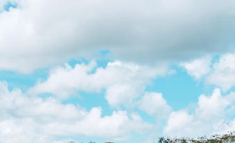 IKAL CHICHEN ITZA 썸네일