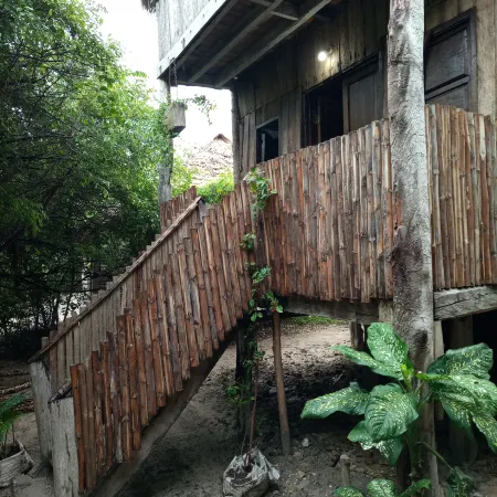 Mida Creek Eco Camp - Cottage House
