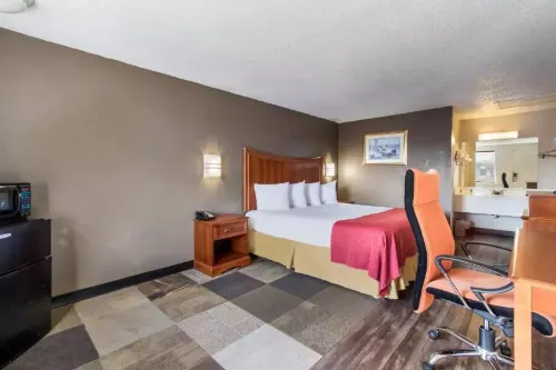 Rodeway Inn - Pet friendly
