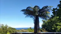 Whole House Rental Inn Horizon Line Hotels in Yakushima