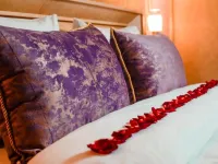 Regal Inn Hotel Baku Hotels near Flag Square