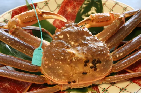 Miyakowasure no Yado Korogiro