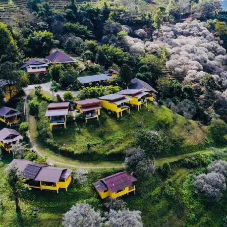 Maesalong Mountain Home Resort