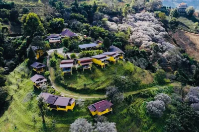 Maesalong Mountain Home Resort Hotels near Hua Mae Kham Sunflower Forest Park