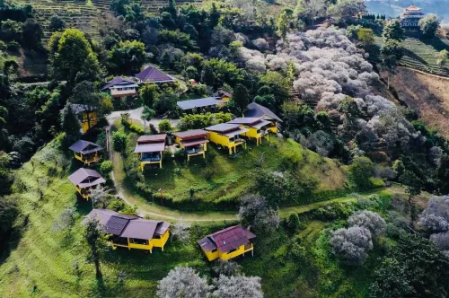 Maesalong Mountain Home Resort Hotels in Mae Fa Luang