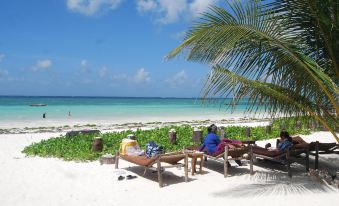 Sahari Zanzibar