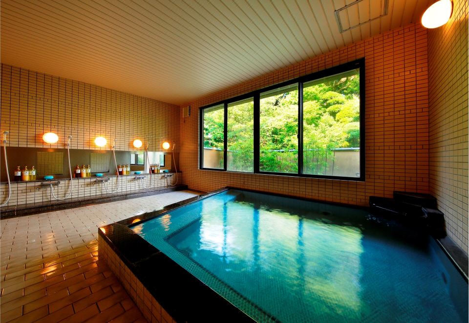 4. 야나가와 하쿠류..